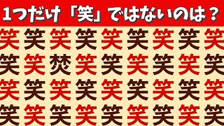 【脳トレ】後半は難問揃い！？【どんど焼き編】1つの違いを探してスッキリ！間違い探し217 [upl. by Sukramed]