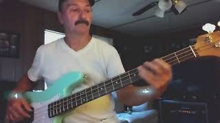 Wholl stop the Rain by ccr Bass Cover by mike [upl. by Rosio936]