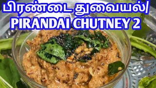 Pirandai Chutney 2pirandai thouvayal recipe in tamilsidedish for rice [upl. by Adnamra784]