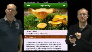 Norske sopper  App [upl. by Naened501]