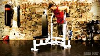 Banc de musculation universel multifonctions – Gorilla Sports [upl. by Aikyn]