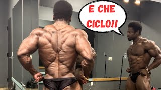 Il CICLO di ST3RO1D1 di BREON ANSLEY Parliamone [upl. by Gav]