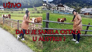 DA LI JE SANELA OSTALA U AUSTRIJI  UKLJUČENJE UŽIVO [upl. by Bennink]