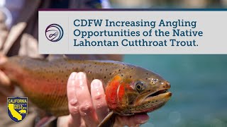 CDFW Providing Angling Opportunities Through Lahontan Cutthroat Trout Stocking [upl. by Areit]