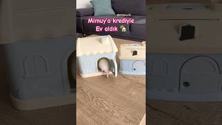 Mimuya ev aldık oyuncak kumbara 🏡 reklam hamster evi hamsterhouse [upl. by Brok]