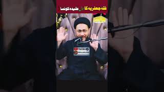 fiqa jafria ka awal aqeeda konsa h512allama shehnshah hussain Naqvitrendigvideoviralshorts [upl. by Dar482]