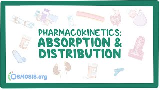 Pharmacokinetics Drug absorption and distribution [upl. by Berwick]