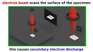 Electron Microscopy TEM and SEM [upl. by Namyh550]