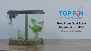 Top Fin Bowfront Double Betta Tank 5 Gallon Aquarium Setup  YouTube [upl. by Ttegirb]