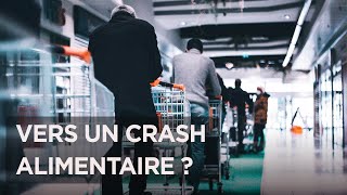 Crise Alimentaire Mondiale  Que disent les spécialistes   Faim dans le Monde  Documentaire ADN [upl. by Satterfield566]