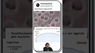 Fagocitose biologiaenem patologia biomedicina [upl. by Crockett]