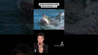 DEVOJKA RASTRGNUTA NA KOMADE OD OGROMNIH TIGRASTIH AJKULA 😱🦈 [upl. by Silvestro475]