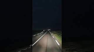 surprise en KOKOTO animal night dashcam [upl. by Niatsirk]