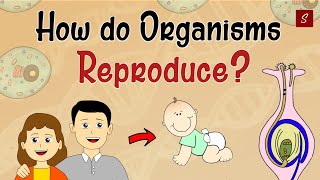 How Do Organism Reproduce Class 10 Full Chapter Animation  Class 10 Science Chapter 8  CBSE [upl. by Eenram912]