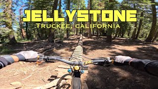 MTB Truckee CA  Jellystone [upl. by Evanthe36]