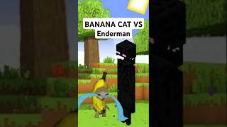 BANANA CAT in Minecraft banana cat cartoon shorts [upl. by Polly22]