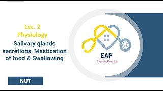 Lec 2 Part 1  Physiology  Salivary glands secretions Mastication of food amp Swallowing  NUT [upl. by Oam721]