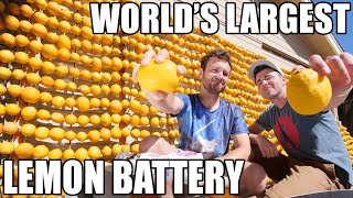 Worlds Largest Lemon Battery [upl. by Nere]