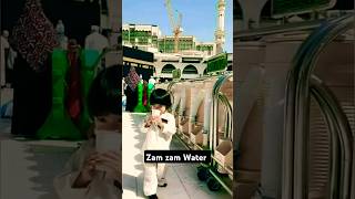 Zam Zam Water fact  Ayaan Sabari katpura trending viralvideo shorts Short [upl. by Onimixam381]