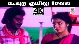 Koovura kuyilu Song 4k SPB S ஜானகி பாடிய பாடல் கூவுற குயிலு சேவல பாத்து [upl. by Petras270]