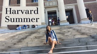 HOW TO GET INTO HARVARD PRECOLLEGE PROGRAM [upl. by Ursulette564]