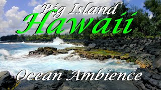 Scenic Shoreline Ambience Calming Relaxation Big Island Hawaii [upl. by Nosnehpets]