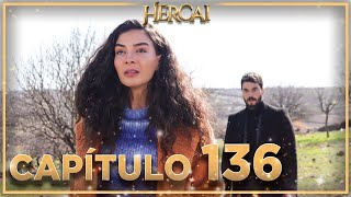 Hercai  Capítulo 136 [upl. by Nnor547]