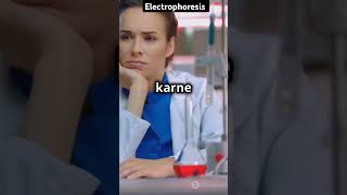 Electrophoresis molecular biologyshort video in video easy mlt shorts biology dnaprotein [upl. by Yentrac]