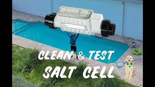 HOW TO CLEAN amp TEST A SALT CELL  PENTAIR INTELICHLOR [upl. by Evslin778]