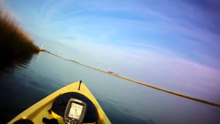 Kayak Fishing Virginias Eastern Shore [upl. by Shumway]