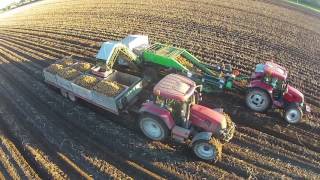 The penultimate day of potato harvest 2016 [upl. by Lawler]