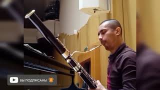 Bassoon Practice Behind the Scenes [upl. by Joelynn]