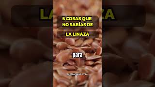 5 FORMAS EN QUE LA ALMENDRA MEJORA TU BIENESTAR alimentosaludable alimentossaludables sabiasque [upl. by Leahcimsemaj873]