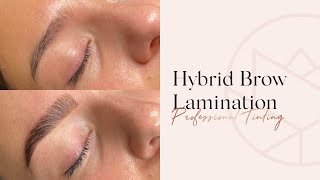 Hybrid Brow Lamination  Step By Step  Tutorial  Perfect Eyelash Hybrid Brow amp Lash Tint [upl. by Ciri]