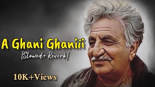 A Ghani Ghani Pashto new Song 2024 SlowedReverb [upl. by Lombardi]