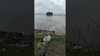 Tarbela dam 2024  Fishing  shikar shikar fishing fish [upl. by Ebneter]