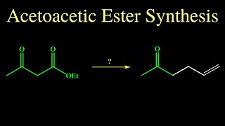 Acetoacetic Ester Synthesis [upl. by Yance]