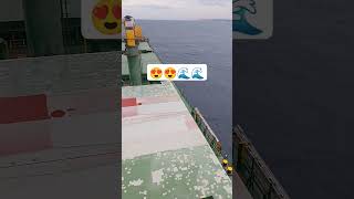 Anchorageship sea shorts plz reelmariner shipping plz shorts videoseaman travel vessel [upl. by Ammann]