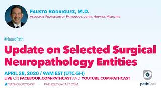 Update on Selected Surgical Neuropathology Entities  Dr Rodriguez Hopkins NEUROPATH [upl. by Allana185]