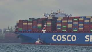 the biggest container ship of cosco shipping  shipspotting singapore  maritime  ocean [upl. by Otsugua]