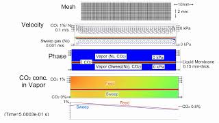 CFD Gas Separation by Liquid Membrane 1 Sweep Mode [upl. by Stier218]