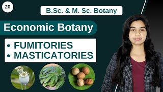 Economic Botany  Narcotics  FUMITORIES  MASTICATORIES  B Sc amp M Sc [upl. by Trilley]