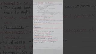 Golgi Apparatus Diagram  Golgi Apparatus Structure And Function [upl. by Tremayne]