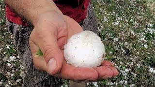 Tennis ball  sized hail near BallingerTexas [upl. by Martelle944]