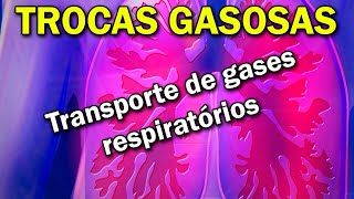 Mecanismos de trocas gasosas do Pulmão  DIFUSÃO de gases respiratórios [upl. by Harris]