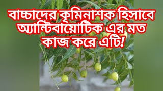 নিম গাছের অজানা কথা। Part2 knowledgeispower ytviralvideo subscribe [upl. by Stiles]