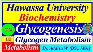 Glycogenesis Glycogen Synthesis  Glycogen Metabolism  carbohydrates metabolism biochemistry [upl. by Ylirama]