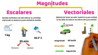 Magnitudes Escalares y Vectoriales [upl. by Faline]