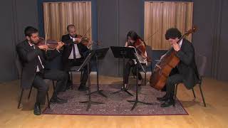 Flightless Bird performed by Embassy String Quartet [upl. by Laura]