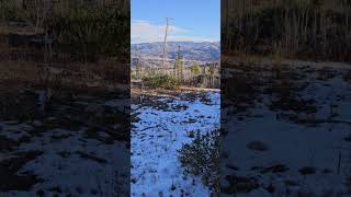 Steamboat Springs Trail Run snowy Emerald mountain [upl. by Trebbor827]